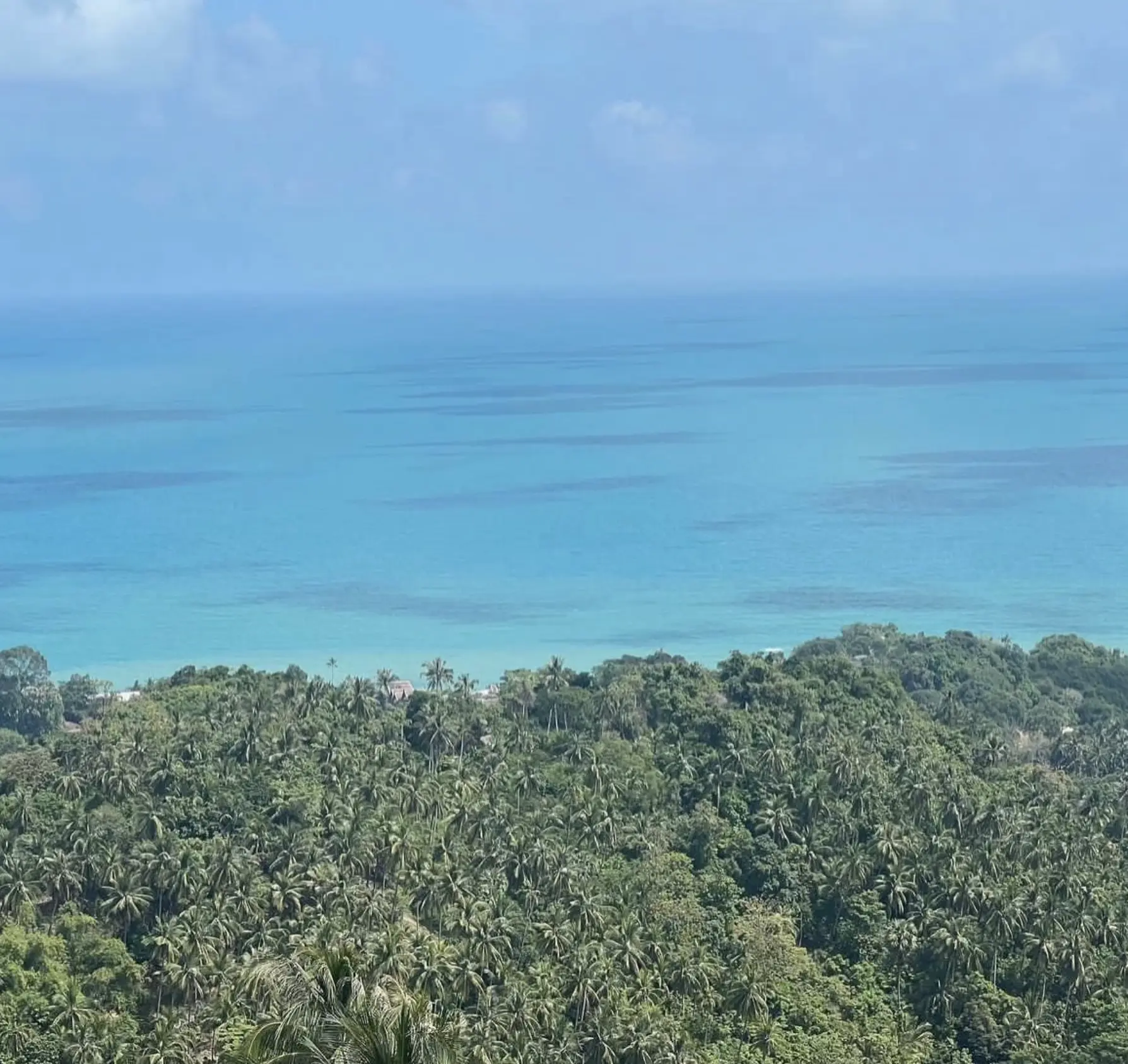 Summer Giveaway featuring beach accessories and tropical scenery