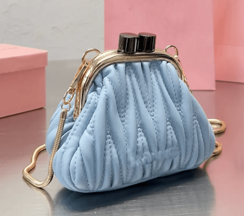 miu miu coin purse