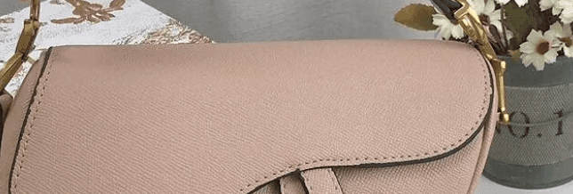 Dior Saddle 