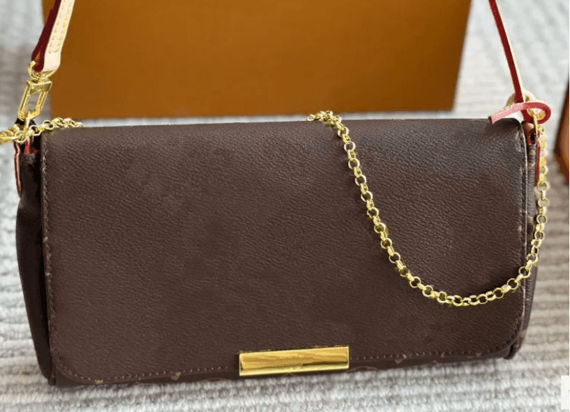LV purse 