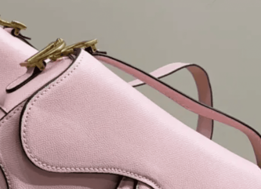 Pink Dior Saddle