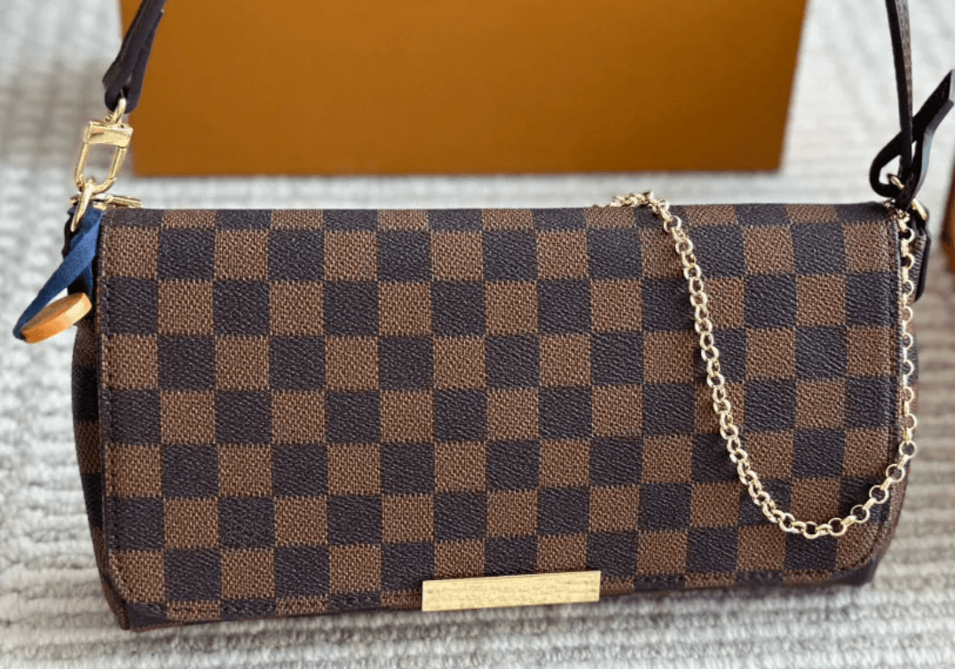 LV Purse