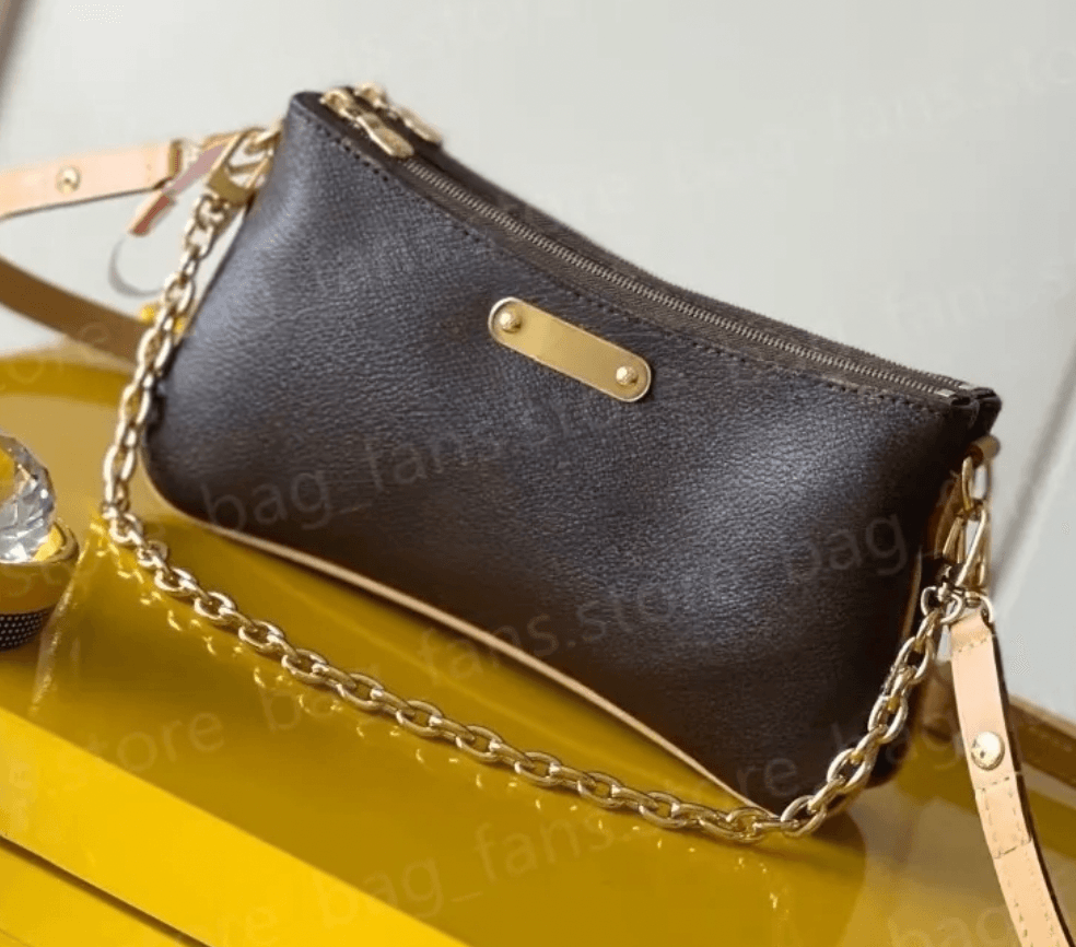 Double Zip LV Bag
