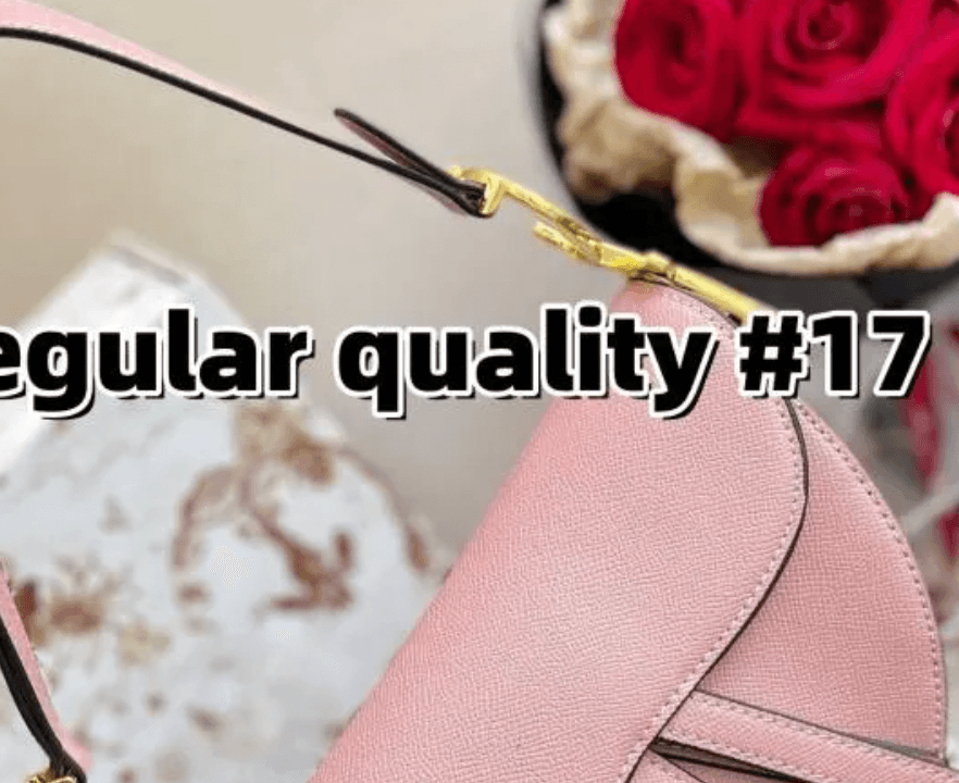 Pink Dior Saddle