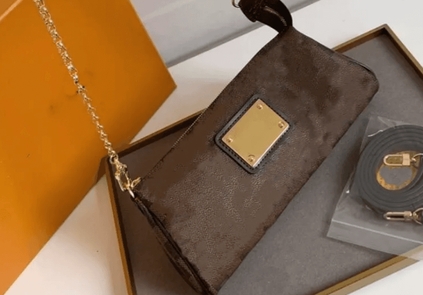 LV Bag