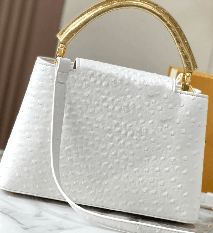 LV Bag