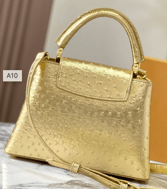 LV Bag