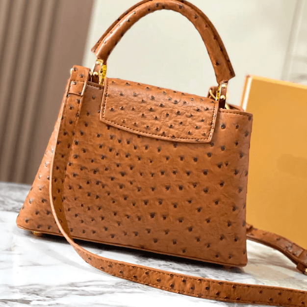 LV Bag