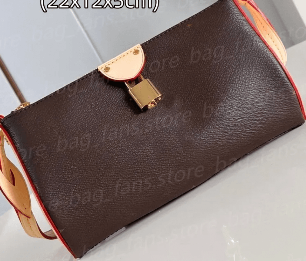 LV Purse