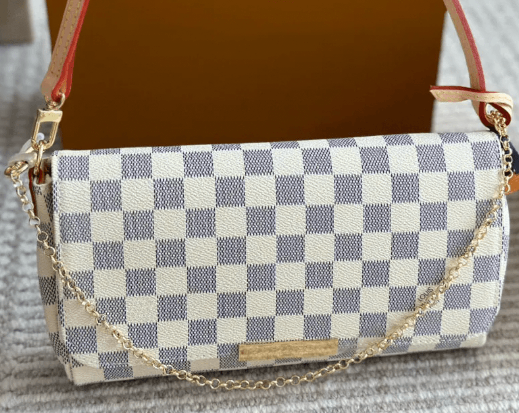 LV Purse