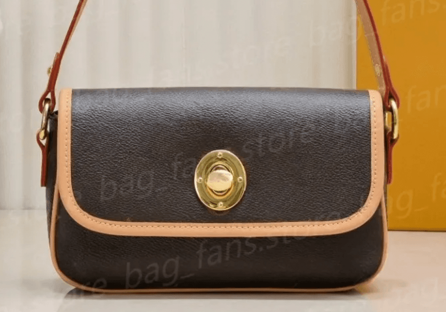 LV Purse