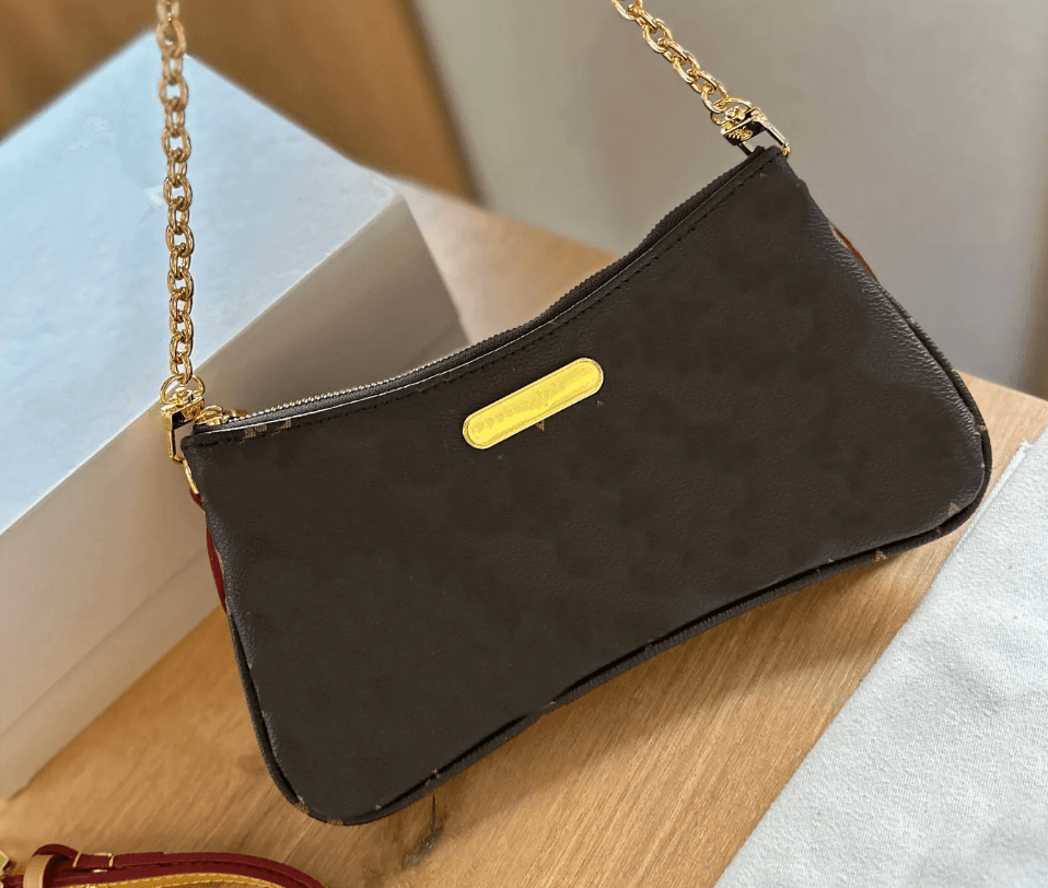 LV Purse