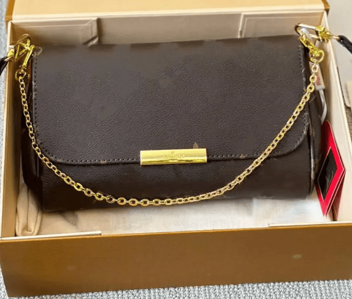 LV Purse