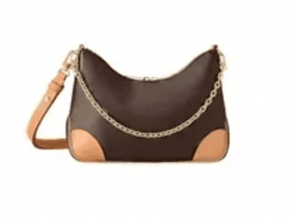 LV Purse