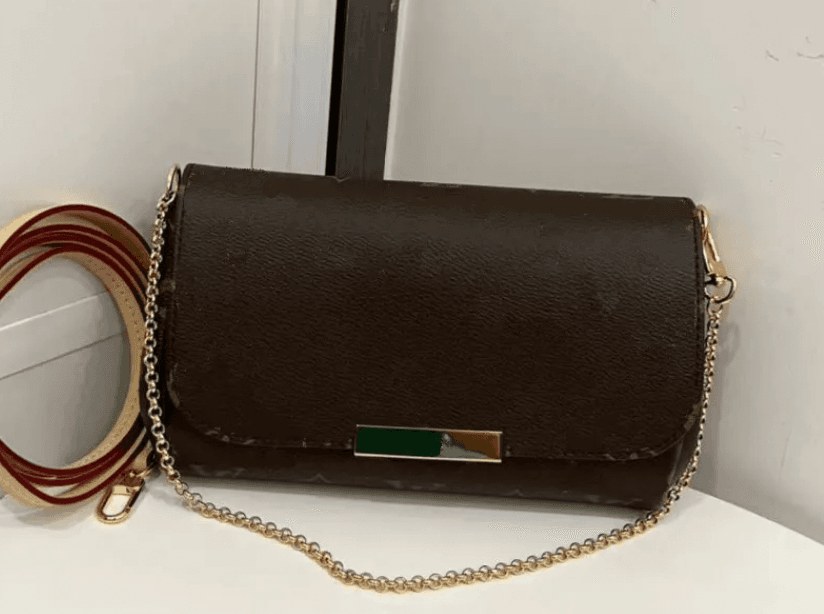 LV Bag