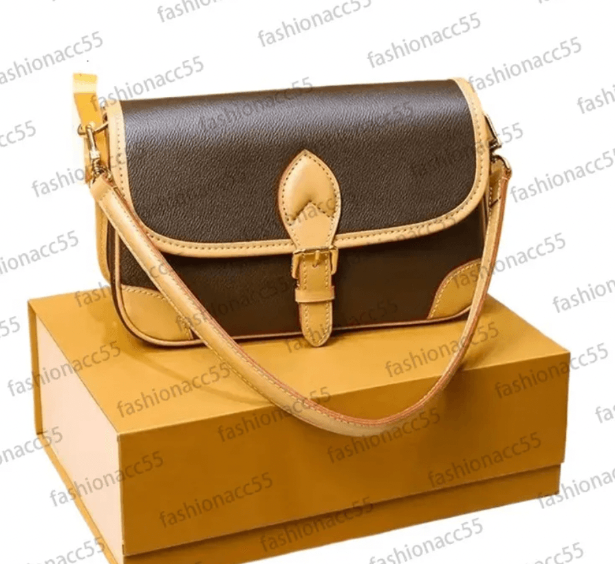 LV Bag