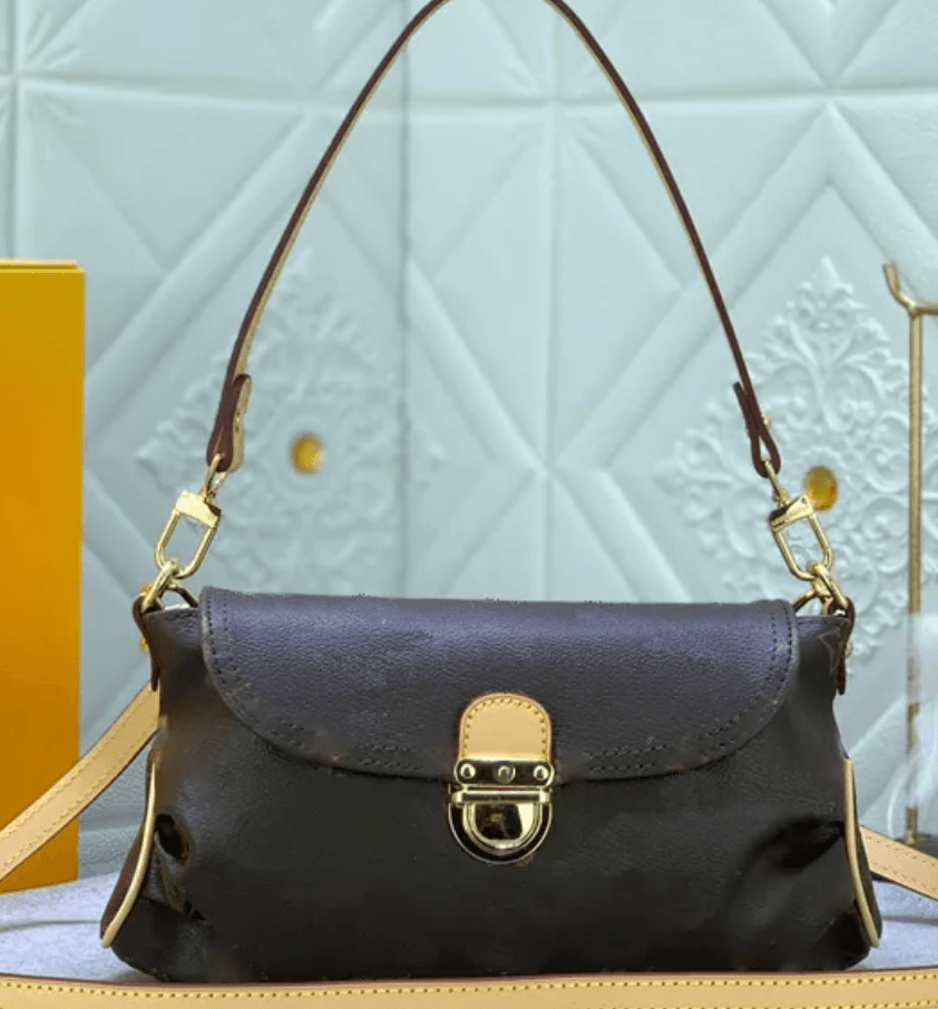LV Pochette