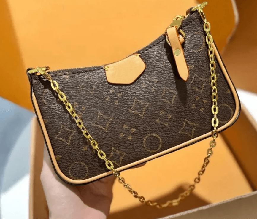 LV Purse