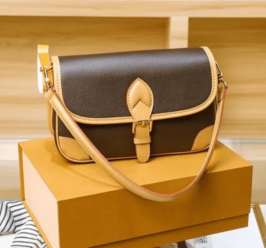 LV Purse