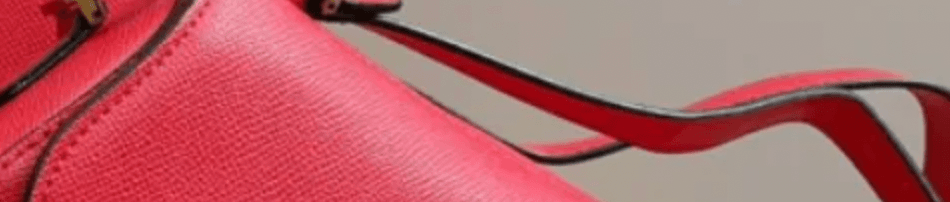 Dior Saddle