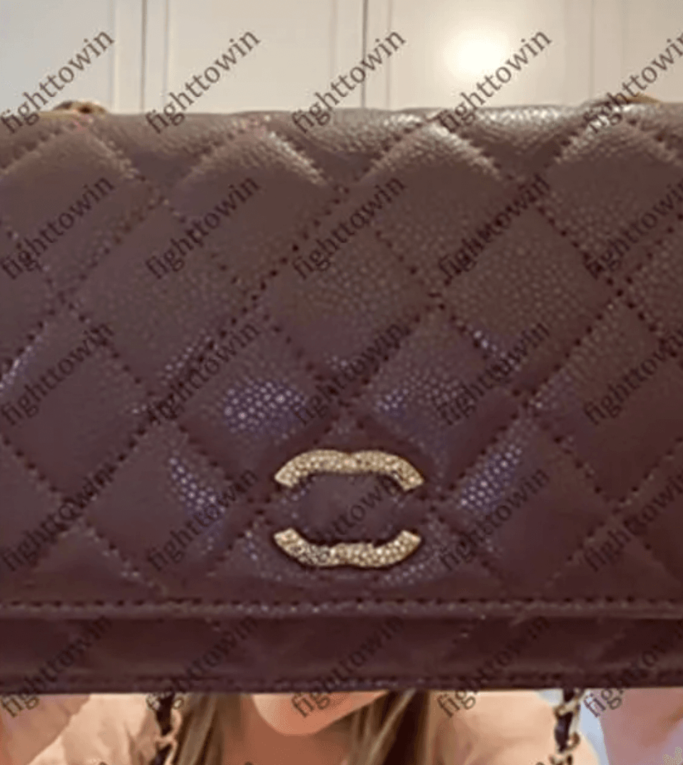 Chanel (super unique snake bag)