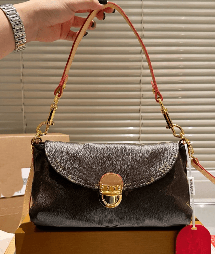 LV Pochette (my everyday bag)